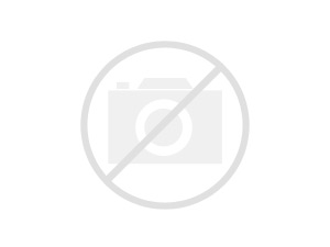 Labial Matte Velvety Rouge